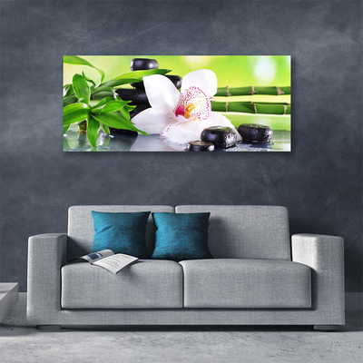 Foto op canvas Orchid bladeren van het bamboe