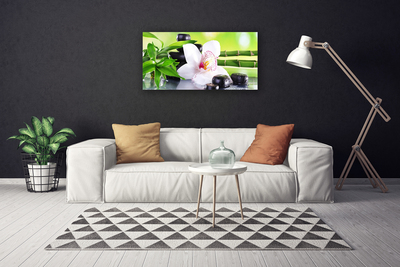 Foto op canvas Orchid bladeren van het bamboe