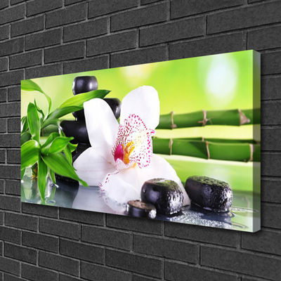 Foto op canvas Orchid bladeren van het bamboe