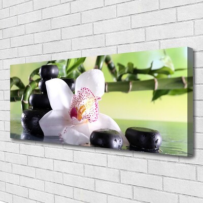 Foto op canvas Bamboo orchid stones