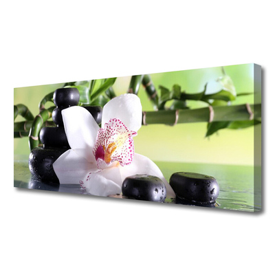 Foto op canvas Bamboo orchid stones