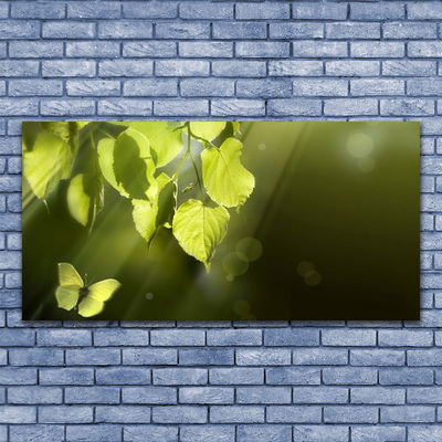 Foto op canvas Bladeren zonnestralen