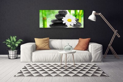 Foto op canvas Bamboe daisy flower