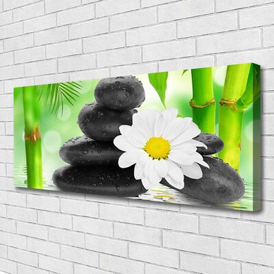 Foto op canvas Bamboe daisy flower