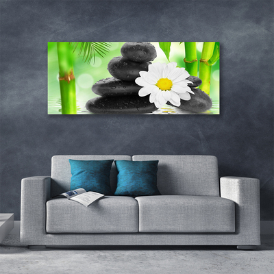 Foto op canvas Bamboe daisy flower