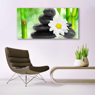 Foto op canvas Bamboe daisy flower