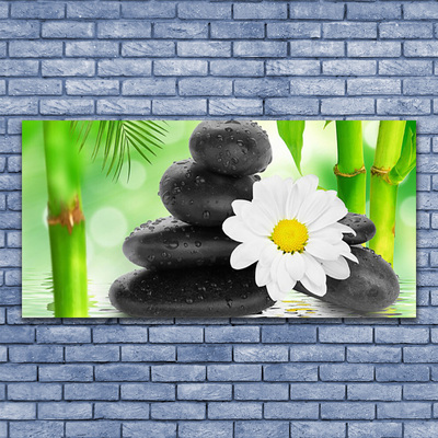 Foto op canvas Bamboe daisy flower