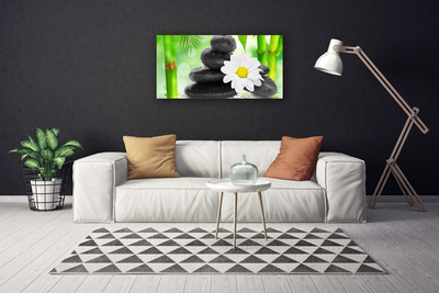 Foto op canvas Bamboe daisy flower