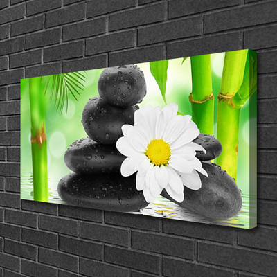 Foto op canvas Bamboe daisy flower