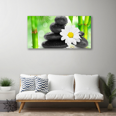 Foto op canvas Bamboe daisy flower