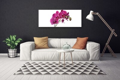 Foto op canvas Orchideebloemen nature