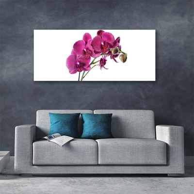 Foto op canvas Orchideebloemen nature