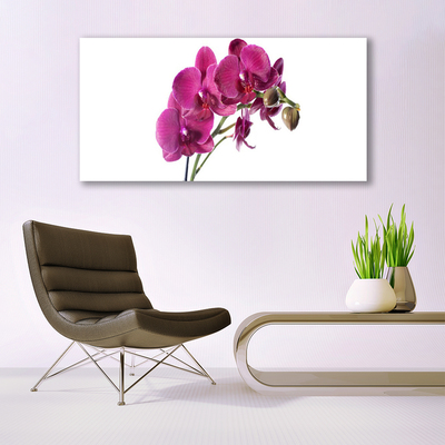 Foto op canvas Orchideebloemen nature