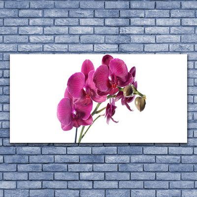 Foto op canvas Orchideebloemen nature