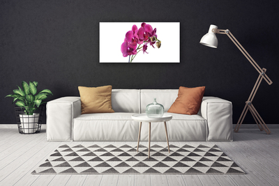 Foto op canvas Orchideebloemen nature