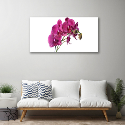 Foto op canvas Orchideebloemen nature