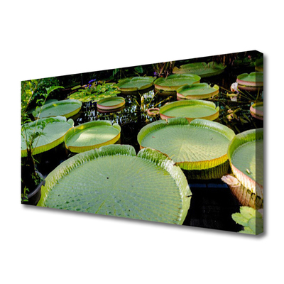 Foto op canvas Bladeren lake nature