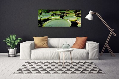 Foto op canvas Bladeren lake nature