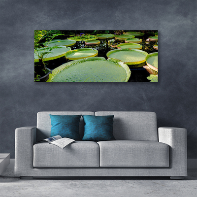 Foto op canvas Bladeren lake nature