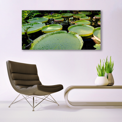 Foto op canvas Bladeren lake nature