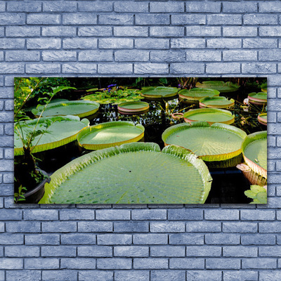 Foto op canvas Bladeren lake nature