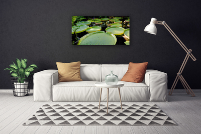 Foto op canvas Bladeren lake nature