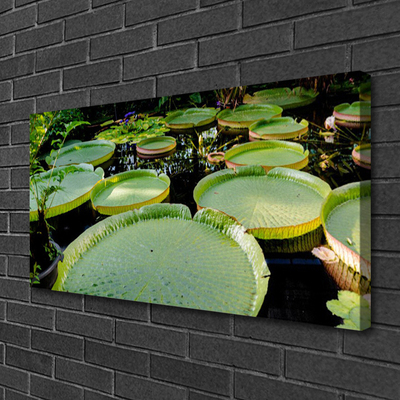 Foto op canvas Bladeren lake nature