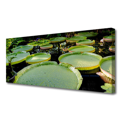 Foto op canvas Bladeren lake nature