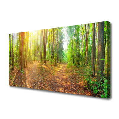 Foto op canvas Zon forest nature path