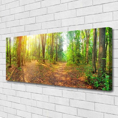 Foto op canvas Zon forest nature path