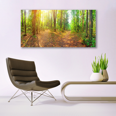 Foto op canvas Zon forest nature path