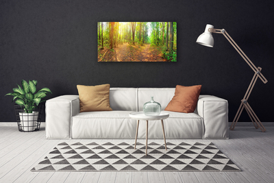 Foto op canvas Zon forest nature path