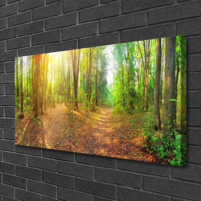 Foto op canvas Zon forest nature path