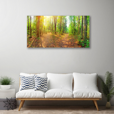 Foto op canvas Zon forest nature path