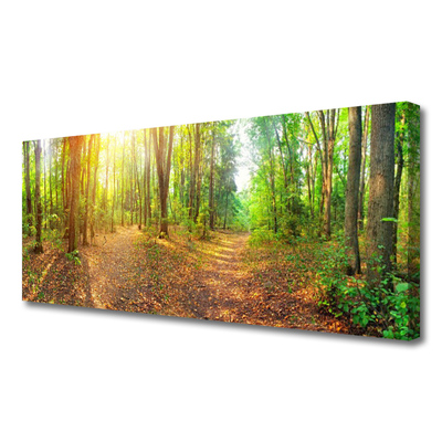 Foto op canvas Zon forest nature path