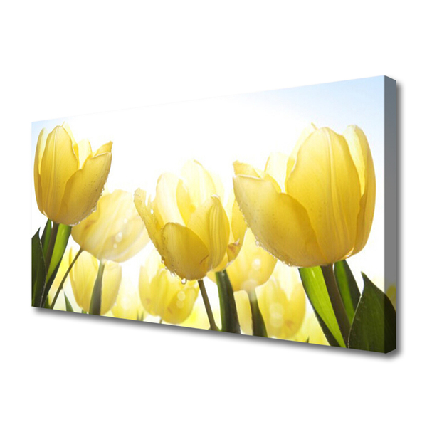 Foto op canvas Tulpen bloemen stralen