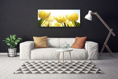 Foto op canvas Tulpen bloemen stralen