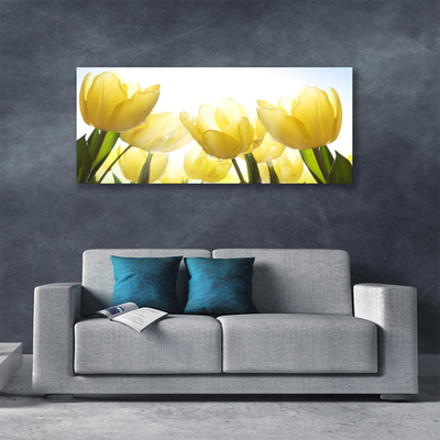 Foto op canvas Tulpen bloemen stralen