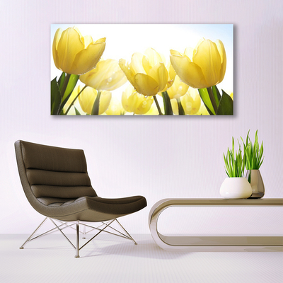 Foto op canvas Tulpen bloemen stralen