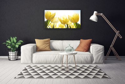 Foto op canvas Tulpen bloemen stralen