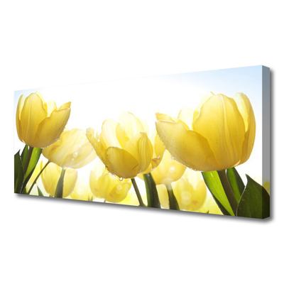 Foto op canvas Tulpen bloemen stralen