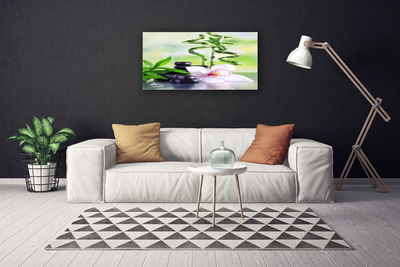 Foto op canvas Bamboo orchid zen spa