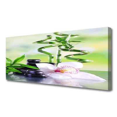 Foto op canvas Bamboo orchid zen spa