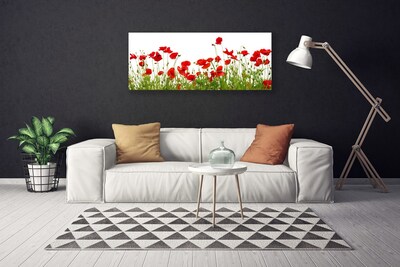 Foto op canvas Klaprozen bloemen weide natuur