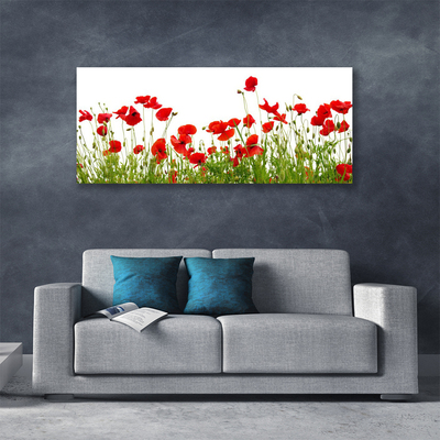 Foto op canvas Klaprozen bloemen weide natuur