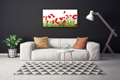 Foto op canvas Klaprozen bloemen weide natuur