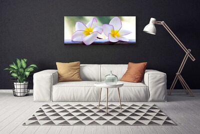 Foto op canvas Plumeria bloemblaadjes