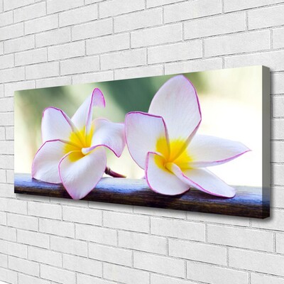 Foto op canvas Plumeria bloemblaadjes