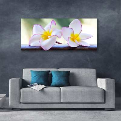 Foto op canvas Plumeria bloemblaadjes