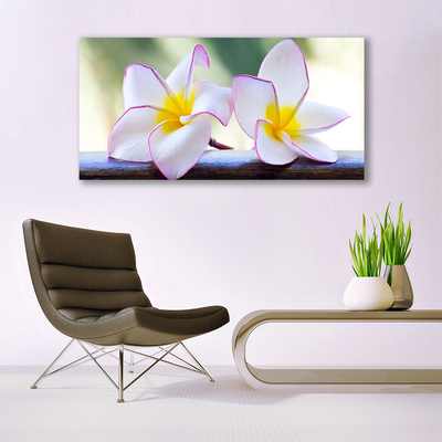 Foto op canvas Plumeria bloemblaadjes